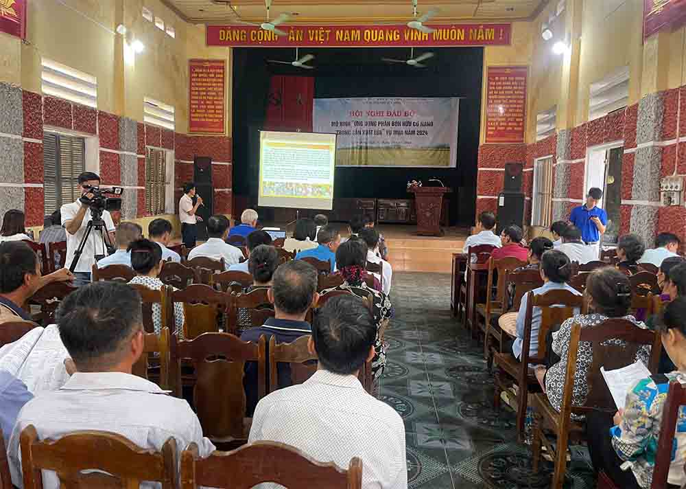 Lan Hoi thao lua nano2.jpg