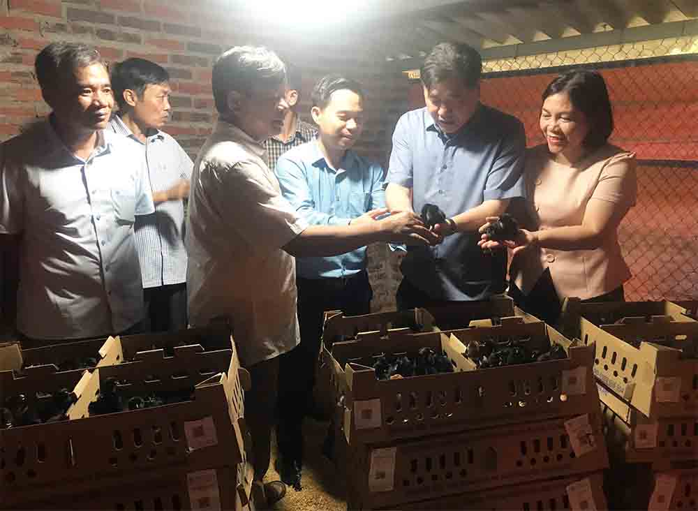 Trung tâm Khuyến nông Quốc gia triển khai mô hình nuôi cá và gà giống mới gắn với liên kết tiêu thụ sản phẩm tại Hải Dương