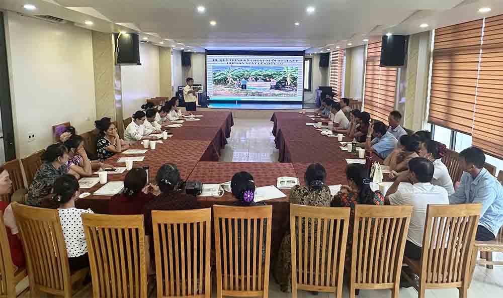 Tập huấn nhân rộng mô hình Dự án Khuyến nông Trung ương năm 2025
