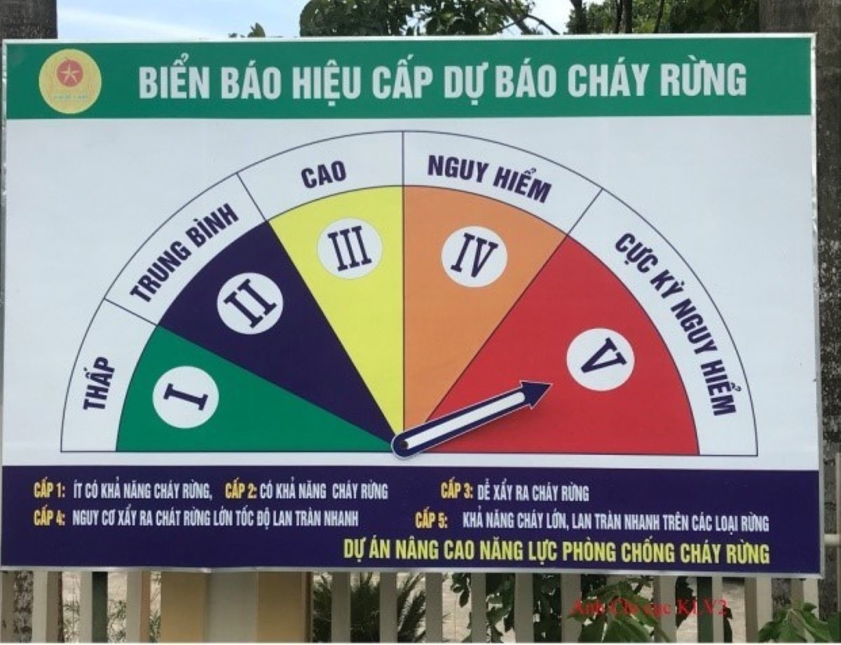 cbcr c5.jpg