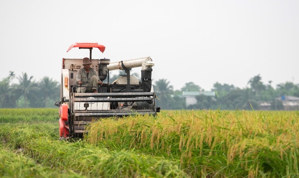 Tăng cường chỉ đạo sản xuất vụ xuân và chuẩn bị sản xuất vụ mùa 2025